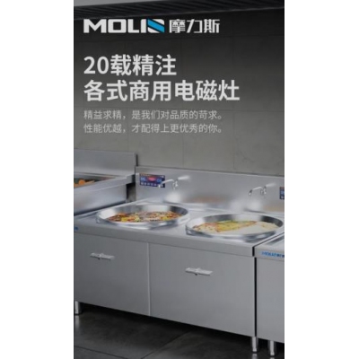 摩力斯MLS-A商用電磁灶雙頭灶臺15KW/40CM（帶兩口直徑50CM炒鍋）